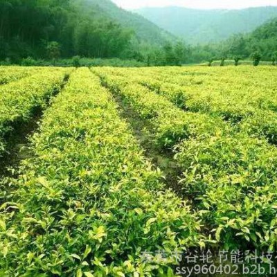 广东谷轮茶叶烘干机、茶叶烘干房、节电节能设备、箱式干燥设备