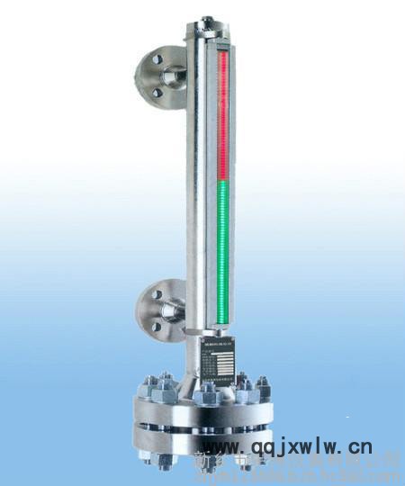 中博仪表ZBC-8显示仪表磁敏双色液位计  围观选购