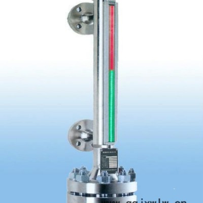 中博仪表ZBC-8显示仪表磁敏双色液位计  围观选购