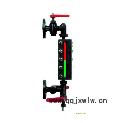 B49X-2.5透反射液位计显示仪表
