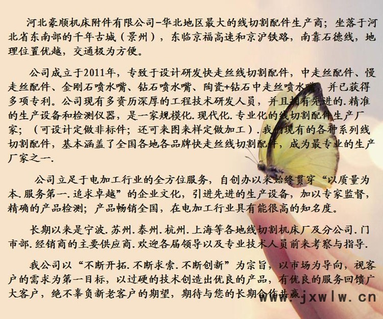 公司介绍2